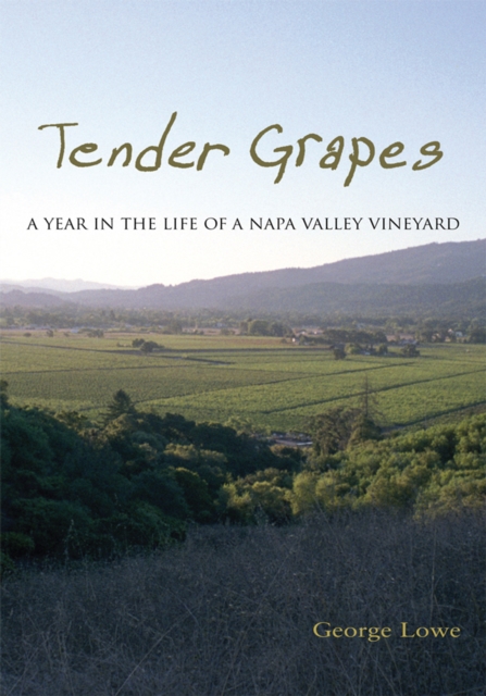 Tender Grapes, EPUB eBook