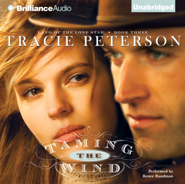 Taming the Wind, eAudiobook MP3 eaudioBook