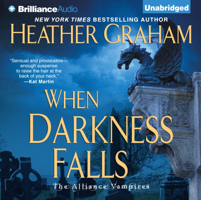 When Darkness Falls, eAudiobook MP3 eaudioBook