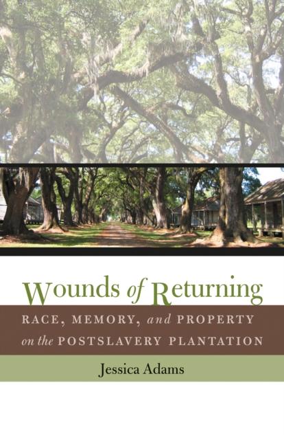 Wounds of Returning : Race, Memory, and Property on the Postslavery Plantation, EPUB eBook