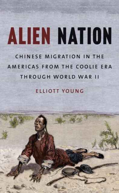 Alien Nation : Chinese Migration in the Americas from the Coolie Era through World War II, EPUB eBook