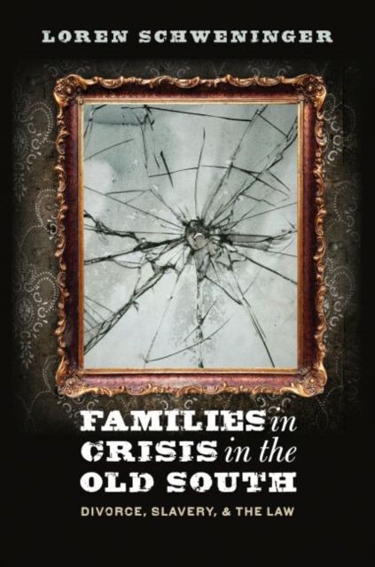 Families in Crisis in the Old South : Divorce, Slavery, and the Law, Paperback / softback Book