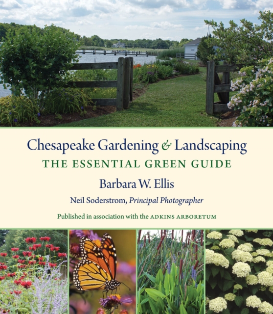 Chesapeake Gardening and Landscaping : The Essential Green Guide, EPUB eBook