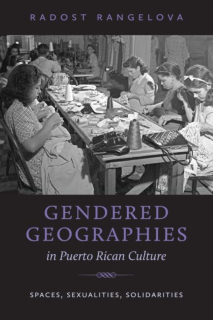 Gendered Geographies in Puerto Rican Culture : Spaces, Sexualities, Solidarities, Paperback / softback Book