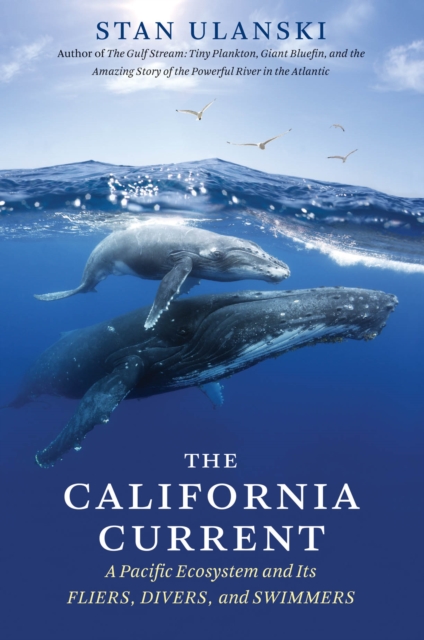 The California Current : A Pacific Ecosystem and Its Fliers, Divers, and Swimmers, EPUB eBook