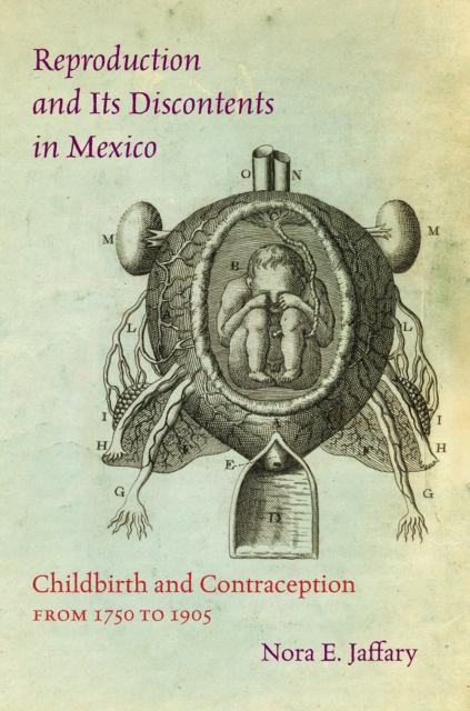 Reproduction and Its Discontents in Mexico : Childbirth and Contraception from 1750 to 1905, EPUB eBook