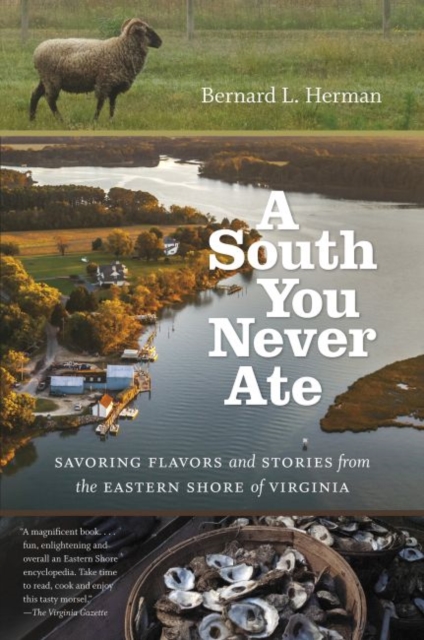 A South You Never Ate : Savoring Flavors and Stories from the Eastern Shore of Virginia, Paperback / softback Book