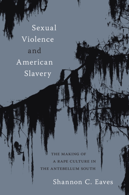 Sexual Violence and American Slavery : The Making of a Rape Culture in the Antebellum South, EPUB eBook