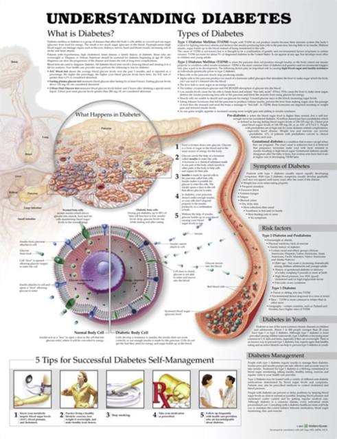 Understanding Diabetes Anatomical Chart, Wallchart Book