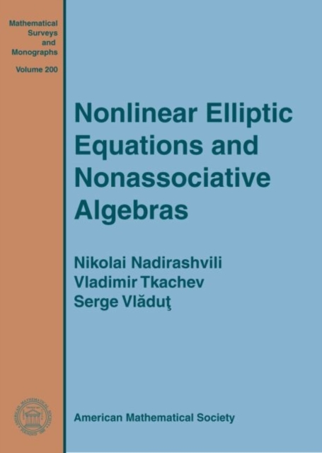 Nonlinear Elliptic Equations and Nonassociative Algebras, Hardback Book