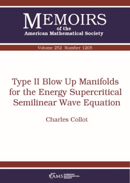 Type II Blow Up Manifolds for the Energy Supercritical Semilinear Wave Equation, Paperback / softback Book