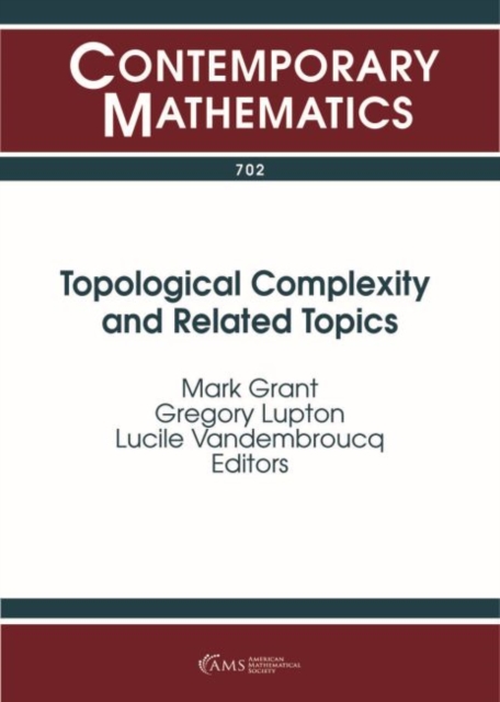 Topological Complexity and Related Topics, Paperback / softback Book