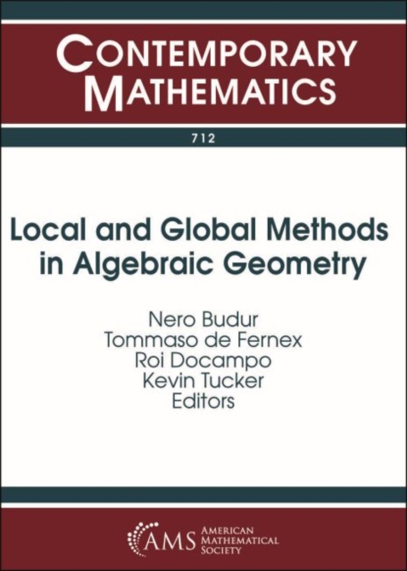 Local and Global Methods in Algebraic Geometry, Paperback / softback Book