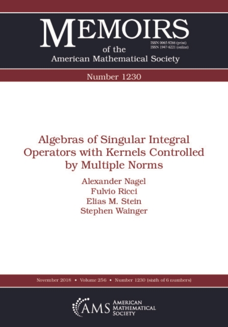 Algebras of Singular Integral Operators with Kernels Controlled by Multiple Norms, PDF eBook