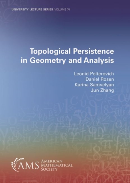 Topological Persistence in Geometry and Analysis, Paperback / softback Book