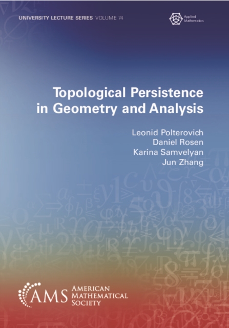 Topological Persistence in Geometry and Analysis, PDF eBook