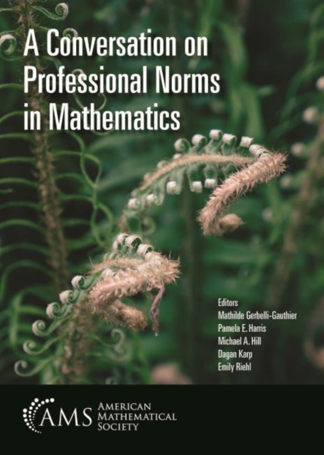 A Conversation on Professional Norms in Mathematics, Paperback / softback Book