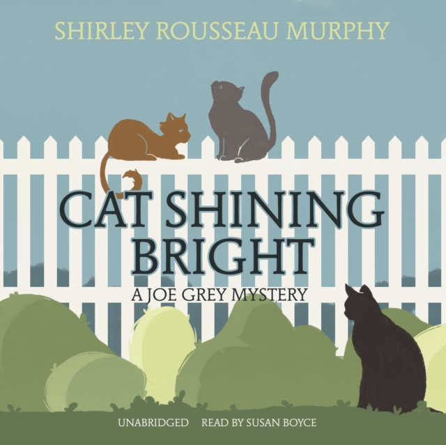 Cat Shining Bright, eAudiobook MP3 eaudioBook
