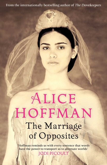 The Marriage of Opposites, Hardback Book