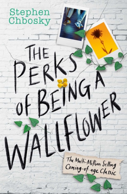 The Perks of Being a Wallflower YA edition, EPUB eBook