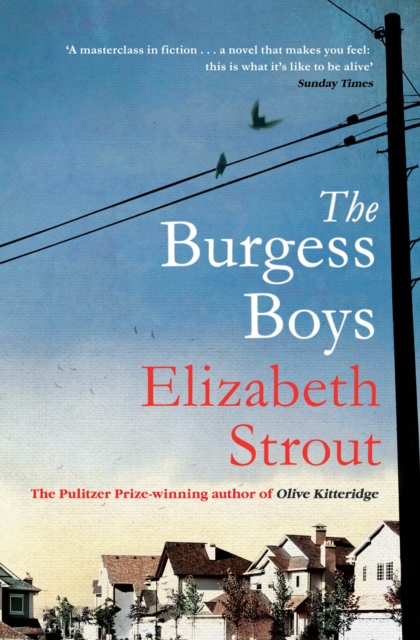 The Burgess Boys, Paperback / softback Book