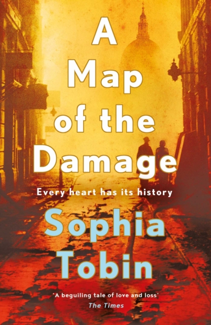 A Map of the Damage, EPUB eBook