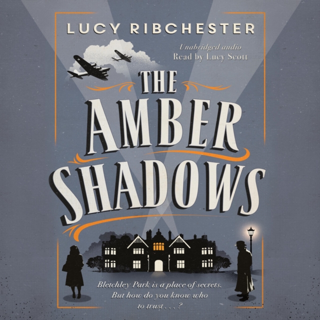 The Amber Shadows, eAudiobook MP3 eaudioBook