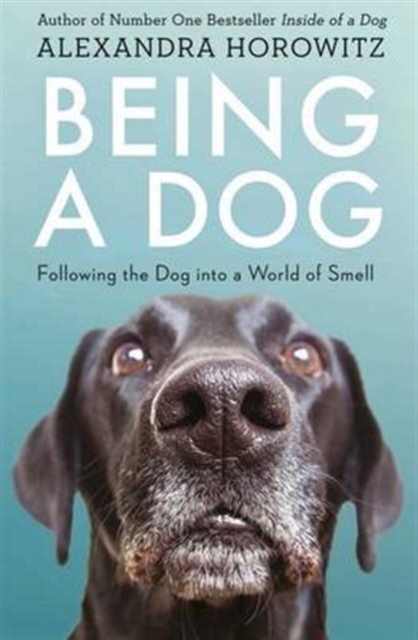 Being a Dog : Following the Dog into a World of Smell, Paperback / softback Book