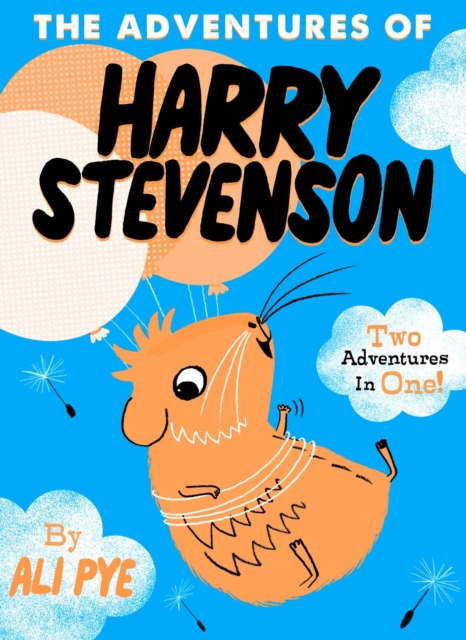 The Adventures of Harry Stevenson, Paperback / softback Book