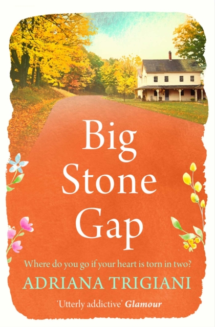 Big Stone Gap, Paperback / softback Book