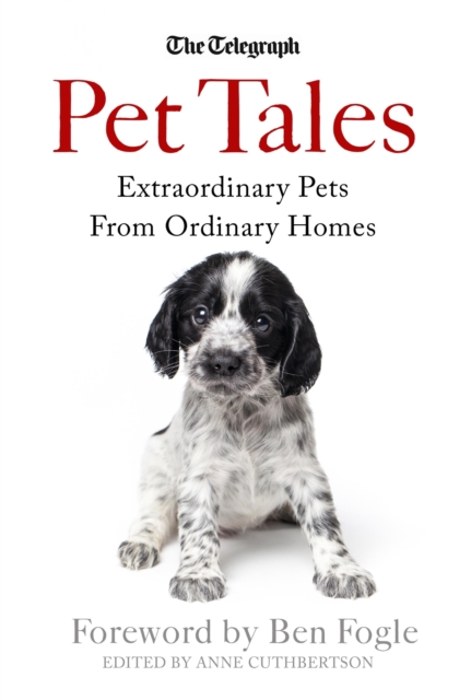 Pet Tales : Extraordinary Pets From Ordinary Homes, EPUB eBook
