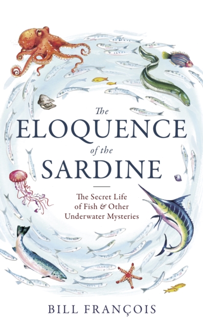 The Eloquence of the Sardine : The Secret Life of Fish & Other Underwater Mysteries, EPUB eBook