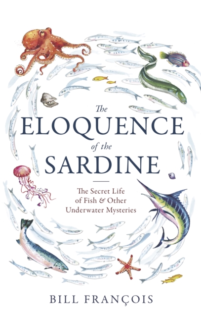 The Eloquence of the Sardine : The Secret Life of Fish & Other Underwater Mysteries, Paperback / softback Book