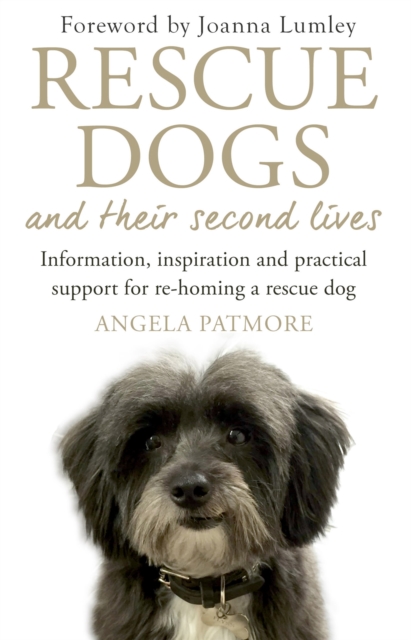 Rescue Dogs and Their Second Lives : Information, Inspiration and Practical Support for Re-Homing a Rescue Dog, Paperback / softback Book