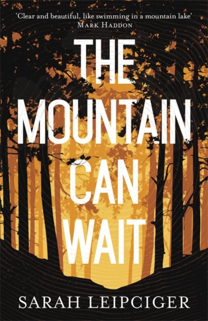 The Mountain Can Wait, Hardback Book