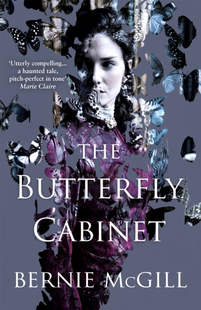 The Butterfly Cabinet, Paperback / softback Book