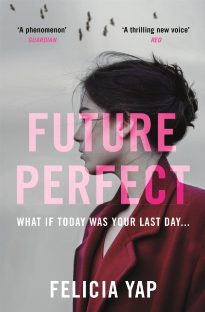 Future Perfect : The Most Exciting High-Concept Novel of the Year, EPUB eBook
