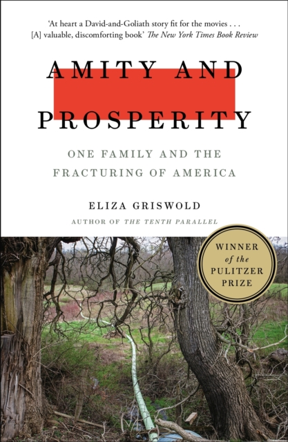 Amity and Prosperity : One Family and the Fracturing of America - Winner of the Pulitzer Prize for Non-Fiction 2019, EPUB eBook