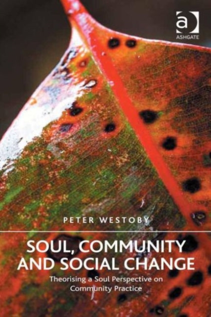 Soul, Community and Social Change : Theorising a Soul Perspective on Community Practice, Hardback Book