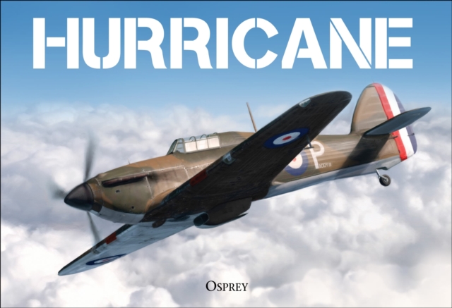 Hurricane, Hardback Book