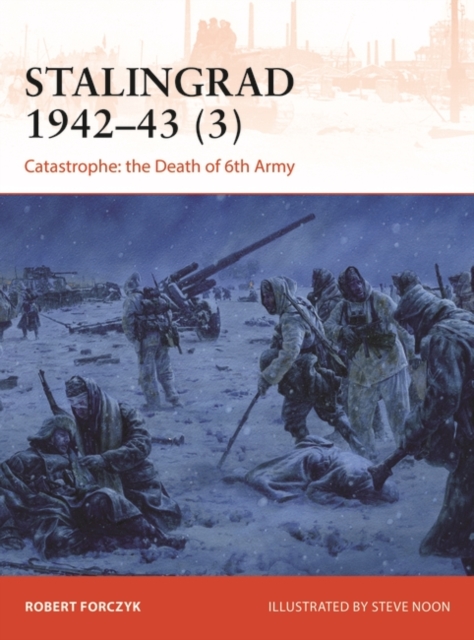 Stalingrad 1942 43 (3) : Catastrophe: the Death of 6th Army, EPUB eBook