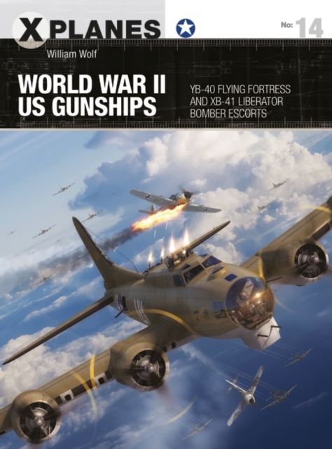 World War II US Gunships : Yb-40 Flying Fortress and Xb-41 Liberator Bomber Escorts, EPUB eBook