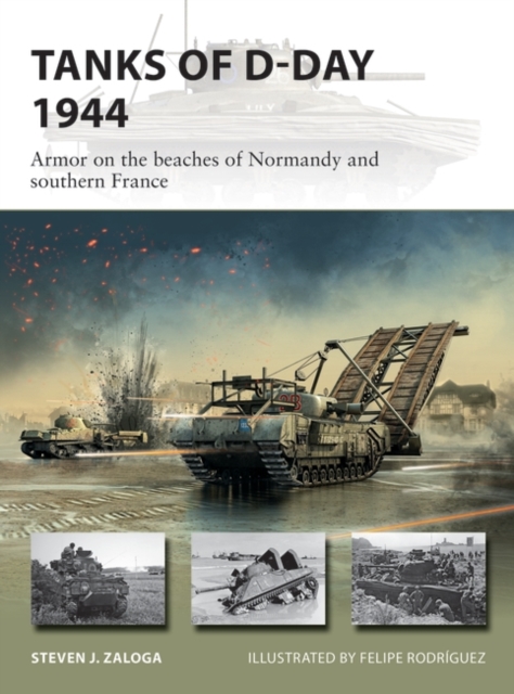 Tanks of D-Day 1944 : Armor on the beaches of Normandy and southern France, PDF eBook