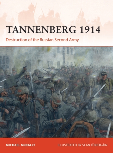 Tannenberg 1914 : Destruction of the Russian Second Army, PDF eBook