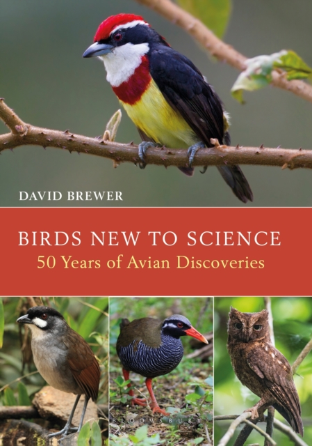 Birds New to Science : Fifty Years of Avian Discoveries, Hardback Book