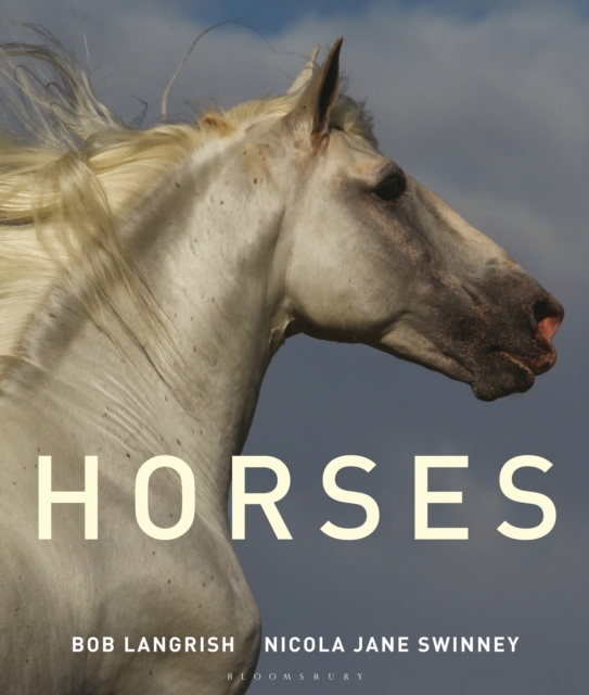 Horses, Hardback Book