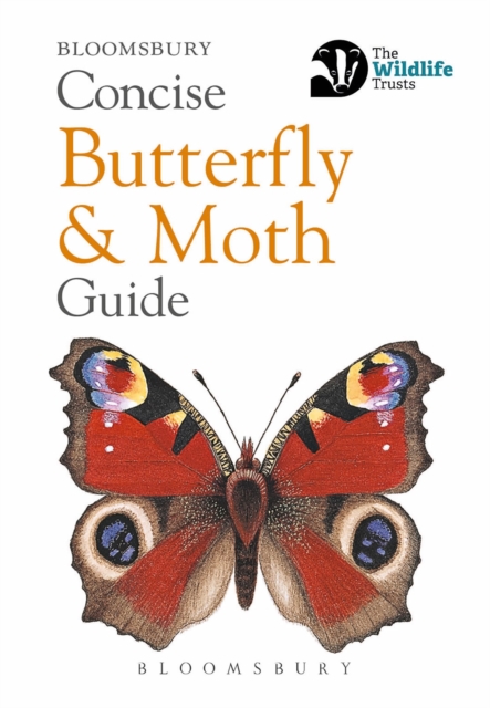 Concise Butterfly and Moth Guide, Paperback Book