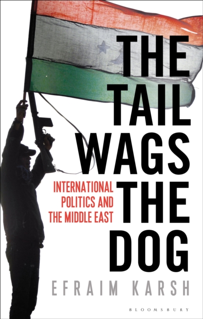 The Tail Wags the Dog : International Politics and the Middle East, Hardback Book