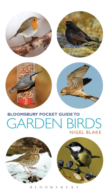 Pocket Guide To Garden Birds, PDF eBook