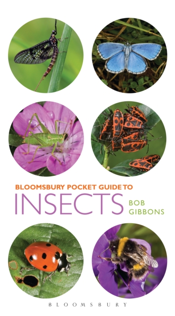 Pocket Guide to Insects, EPUB eBook
